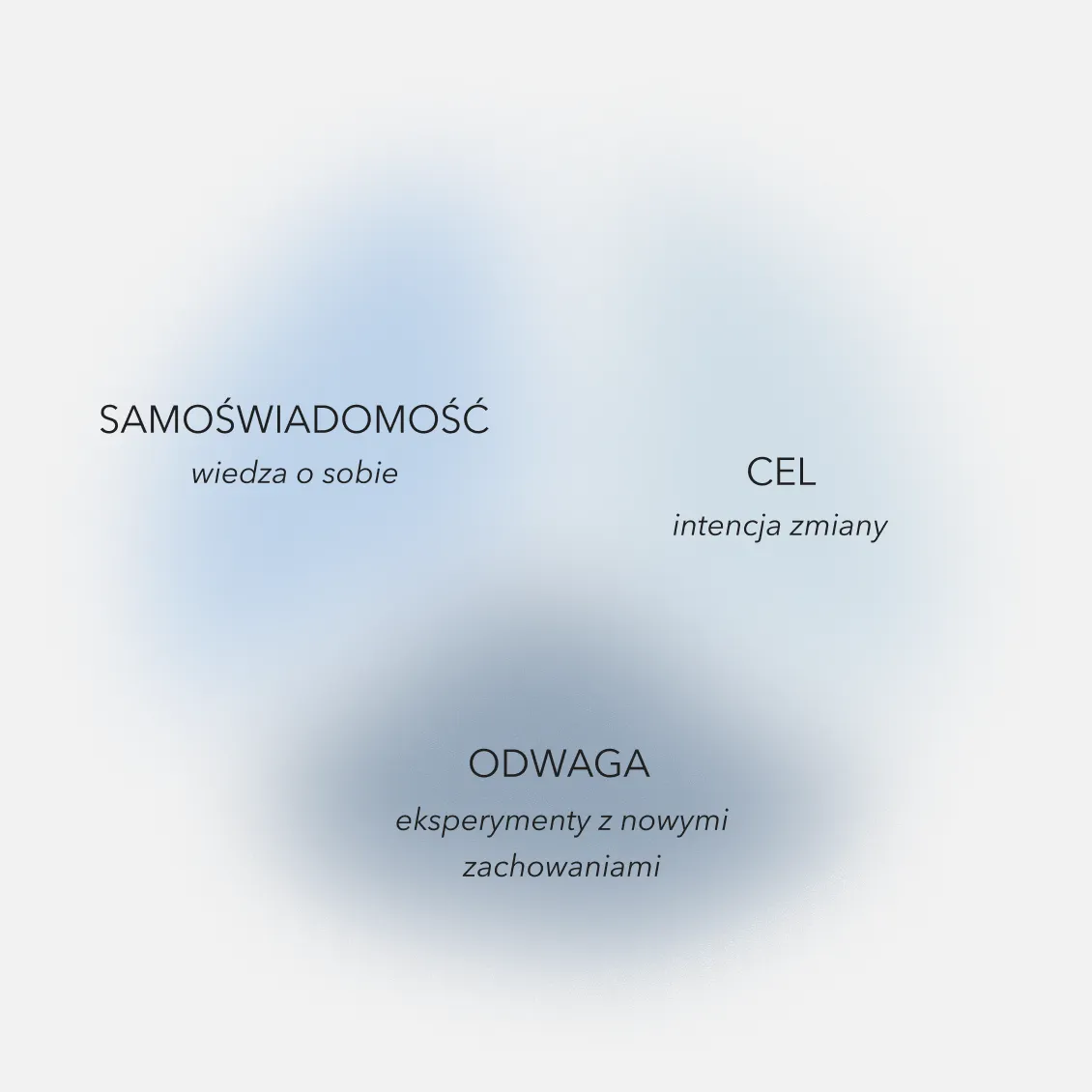 zdjęcie przedstawiające diagram podzielony na trzy części w odcieniach niebieskiego z napisami ŚWIADOMOŚĆ CEL i ODWAGA filary dobrego przywództwa